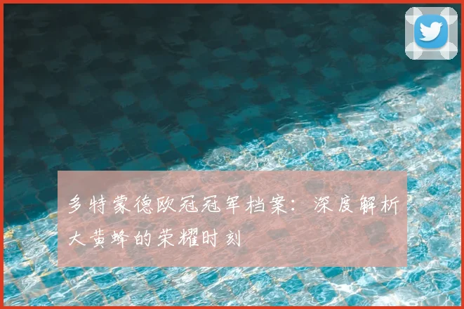 多特蒙德欧冠冠军档案：深度解析大黄蜂的荣耀时刻